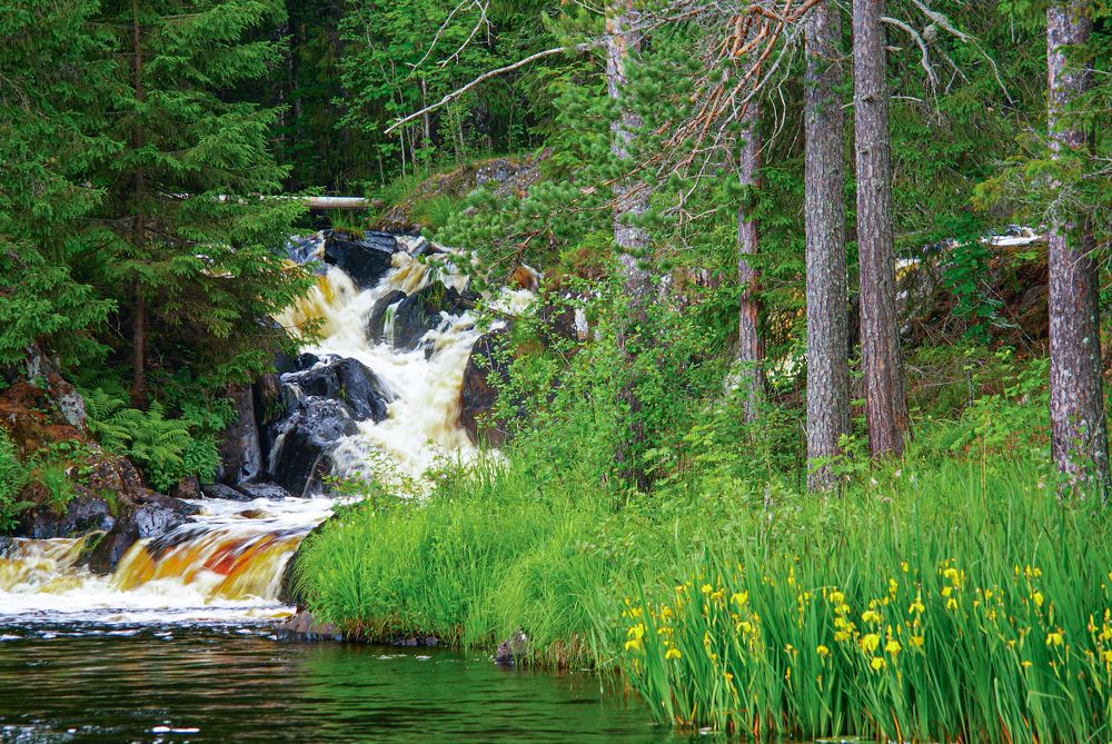 Photograph by Анна Васильева