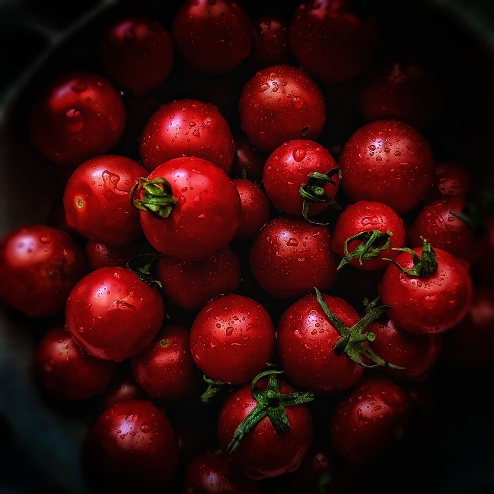 Фотография автора reyhane  khavaninzadeh