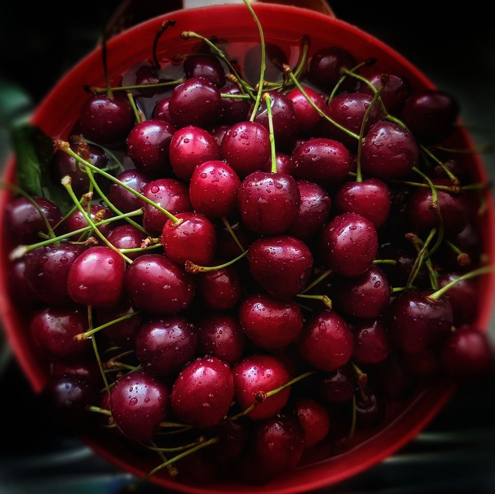 Фотография автора reyhane  khavaninzadeh