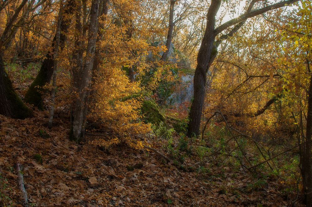 Photograph by Сергей Черкасов