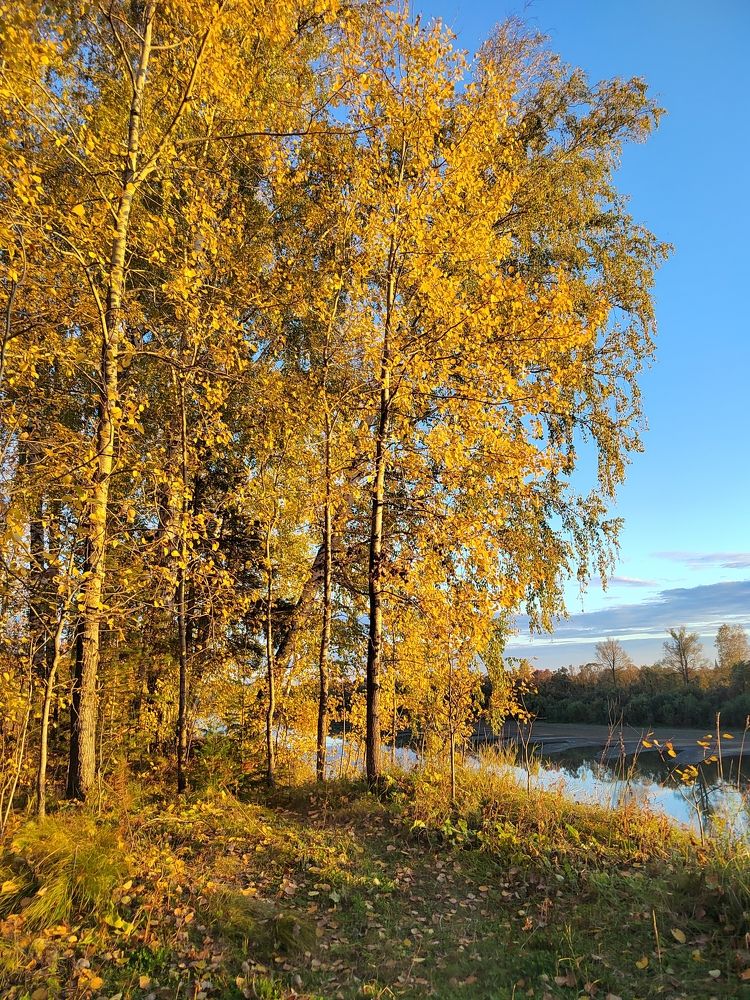 Photograph by Елена Аверьянова