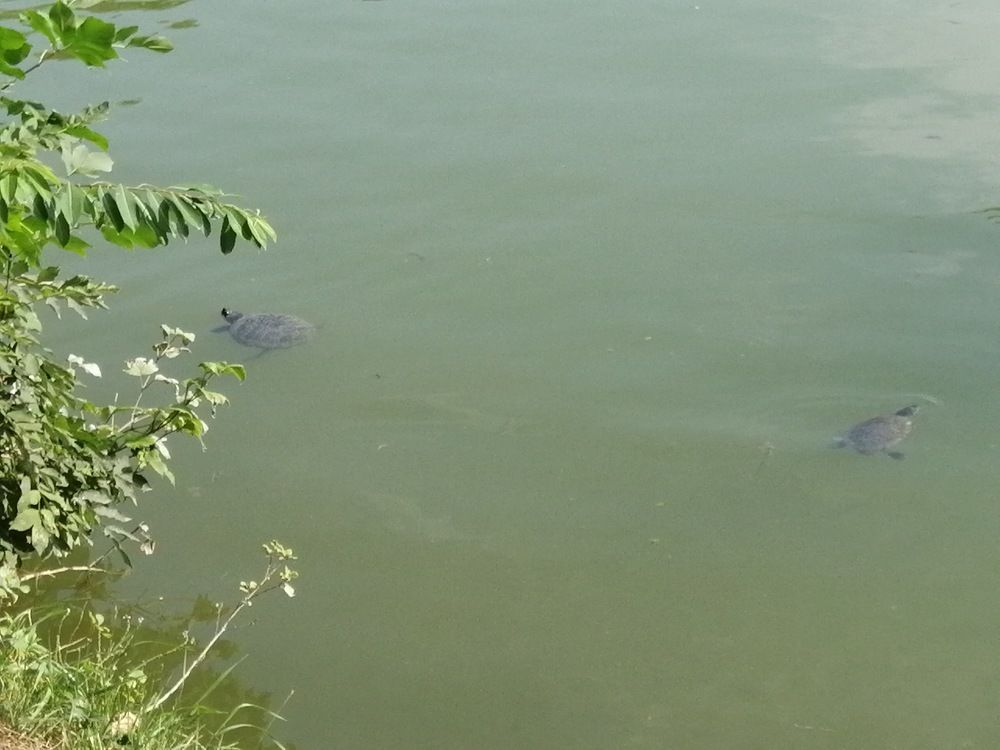 Photograph by Мила Мит