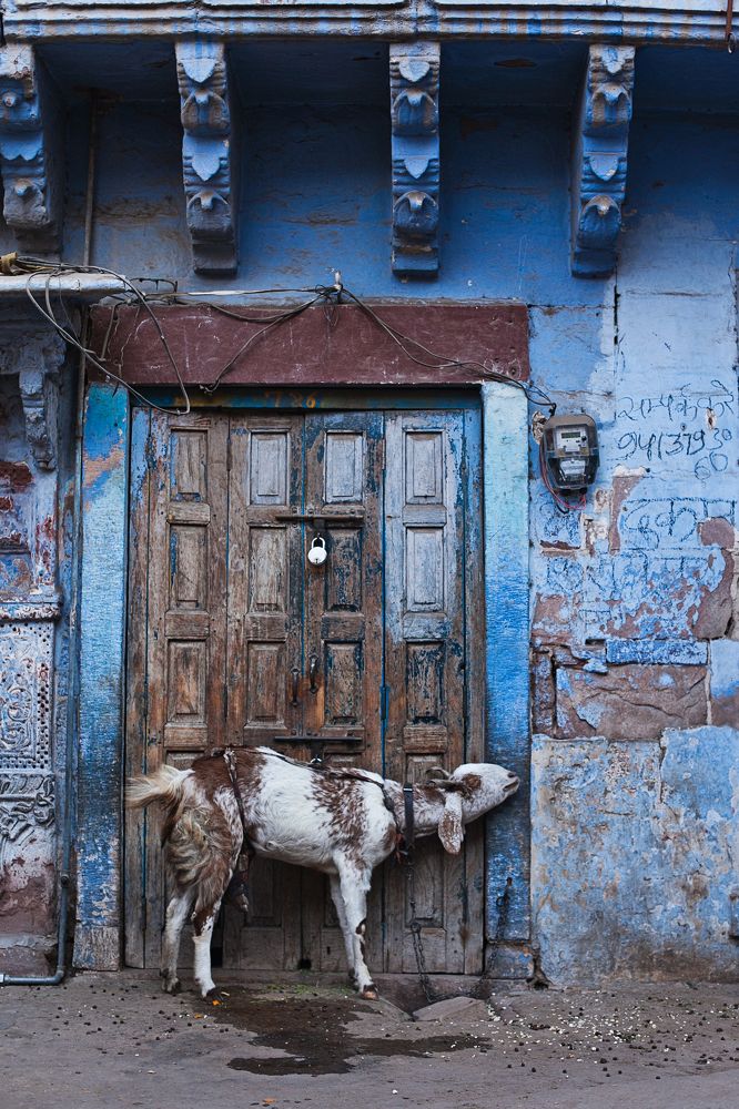 Photograph by Любовь Разумовская