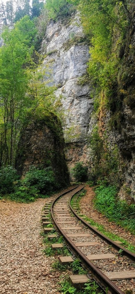 Photograph by Елена Акимова