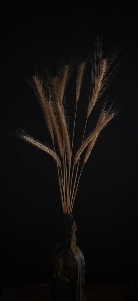 Photograph by Елена Акимова