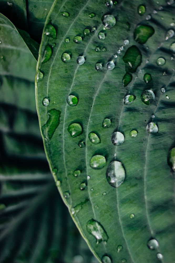 Photograph by Юлия Белозёрова