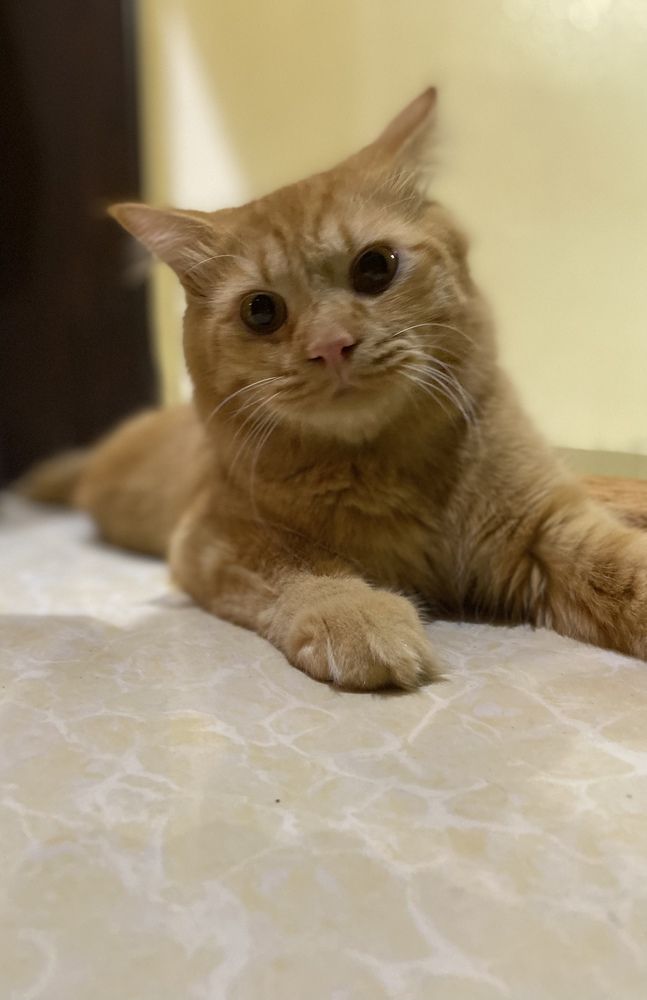 Photograph by Waleed Alwahaibi