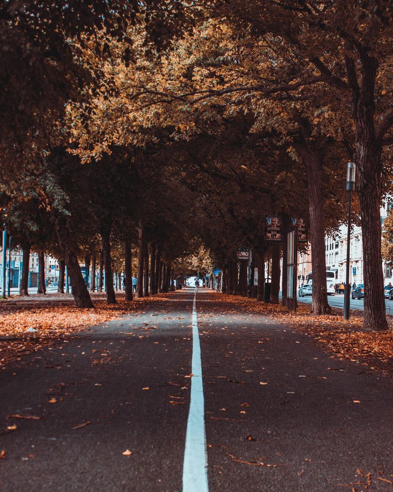 Photograph by Александр Назар