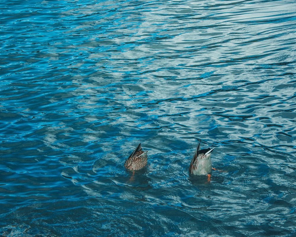 Photograph by Александр Назар