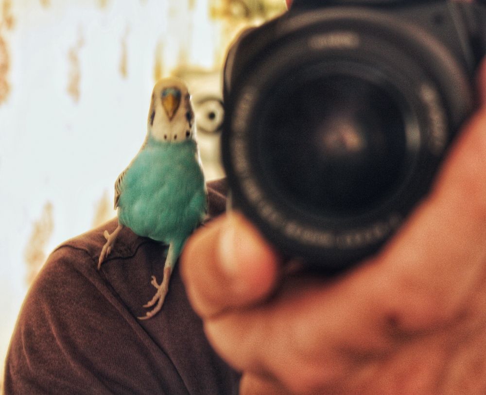 Photograph by Алексей Кроль