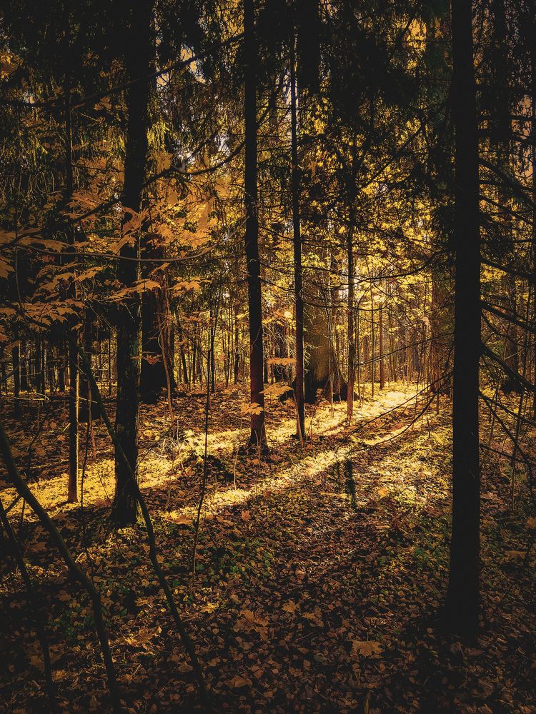 Photograph by Александра Мазур