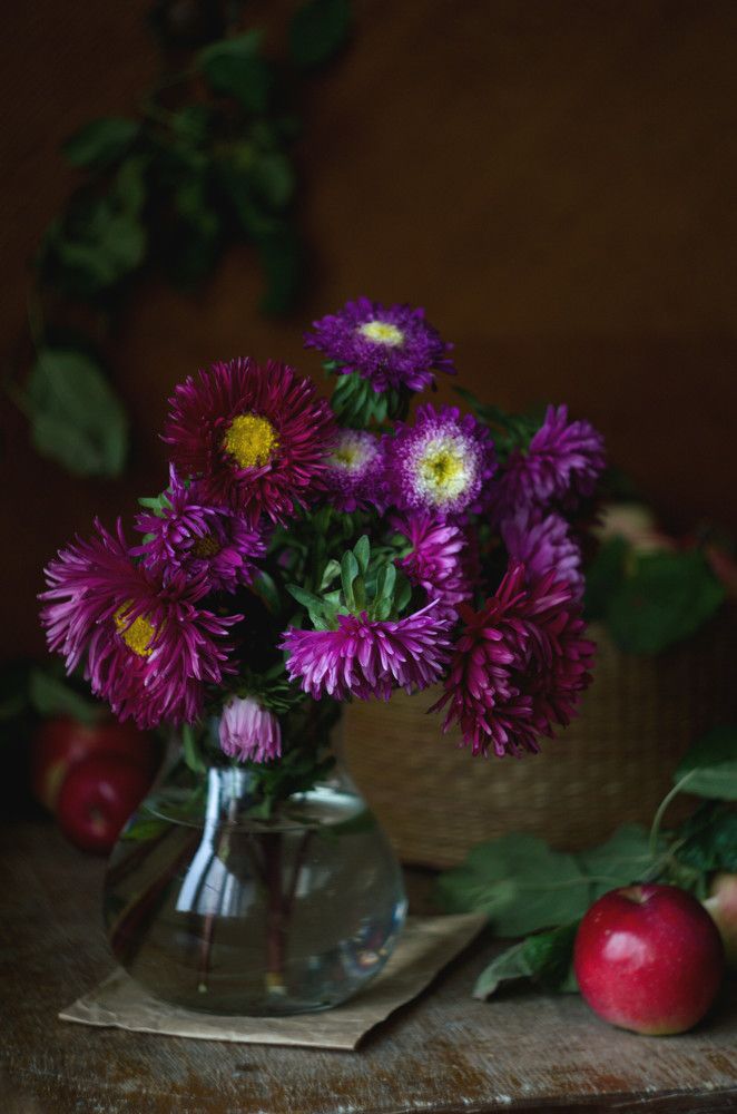 Photograph by Ирина Шмойлова