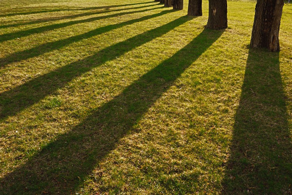 Photograph by Орехов Константин
