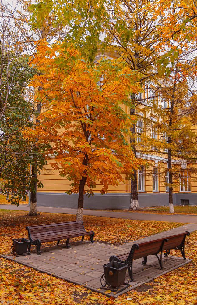 Photograph by Александр Фот