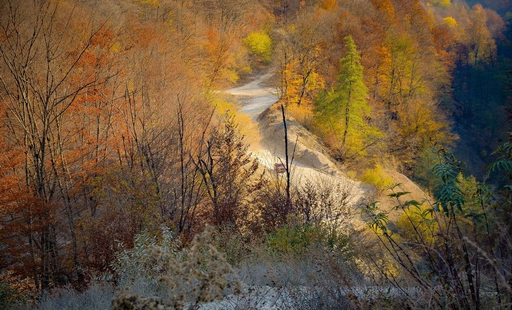 Photograph by Инна Гаджиева