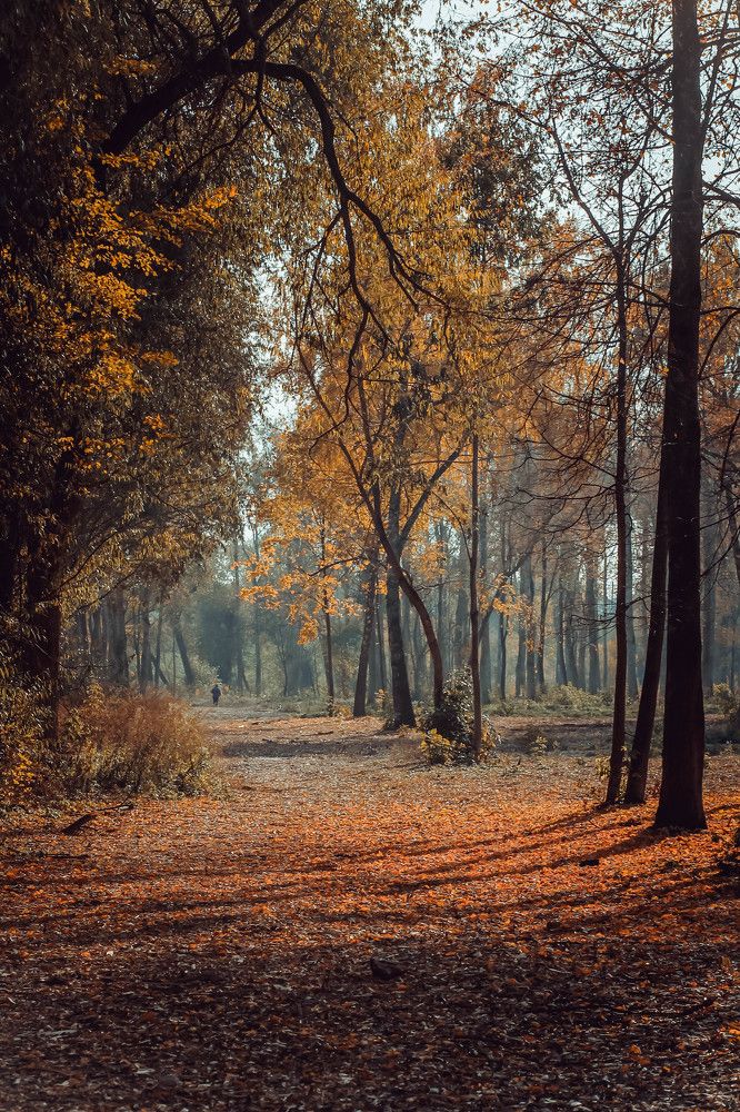 Photograph by Элиза