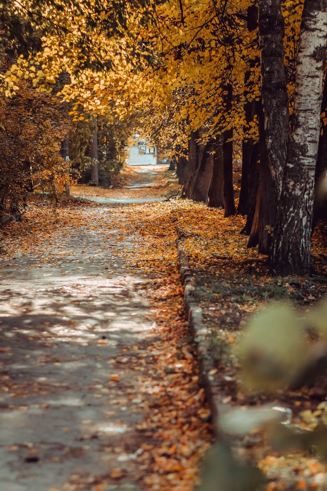 Photograph by Элиза