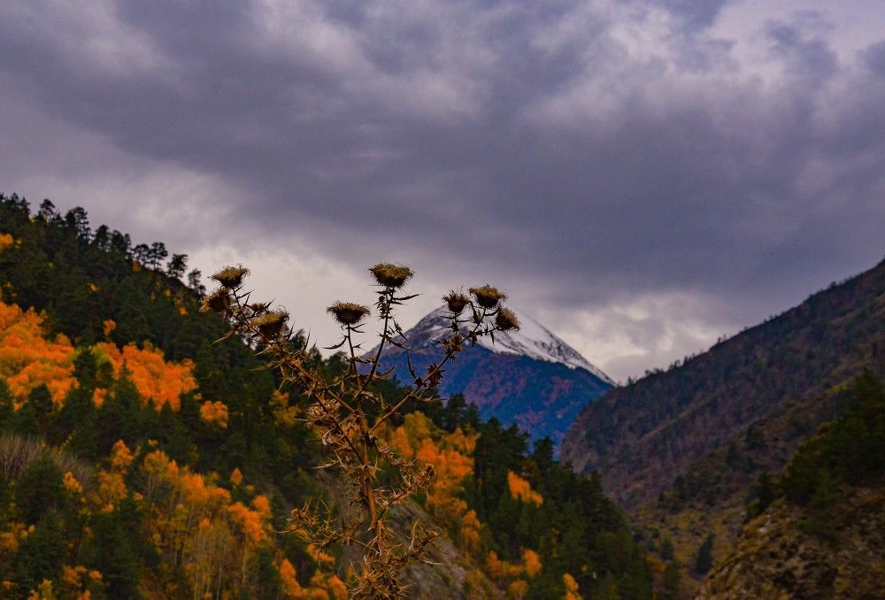 Photograph by Инна Гаджиева