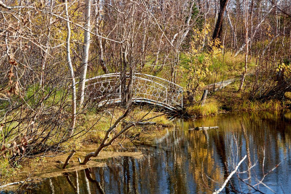 Photograph by Алексей Швецов