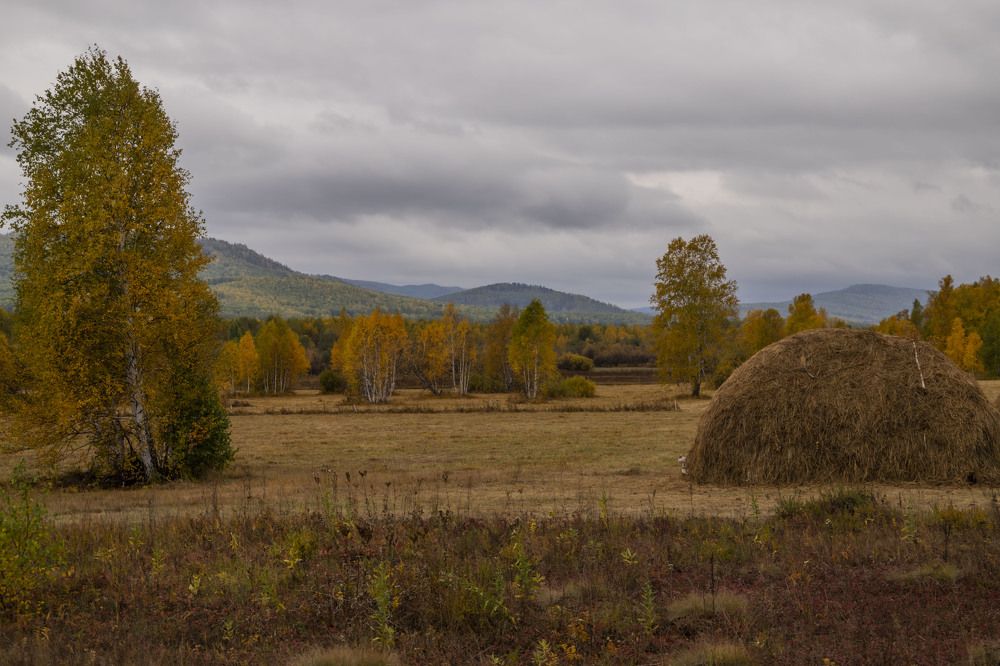 Photograph by Елена Перминова