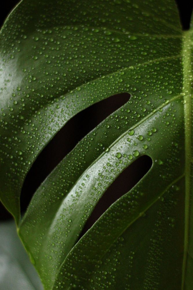 Photograph by Валерия Бойко