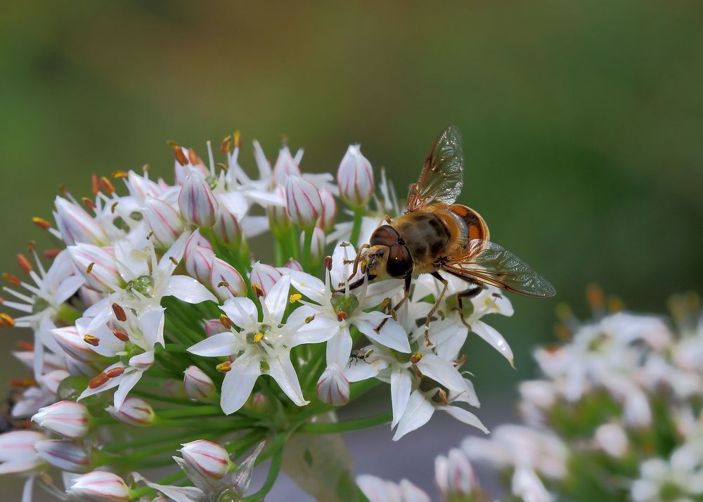 Photograph by Юрий Варюхин