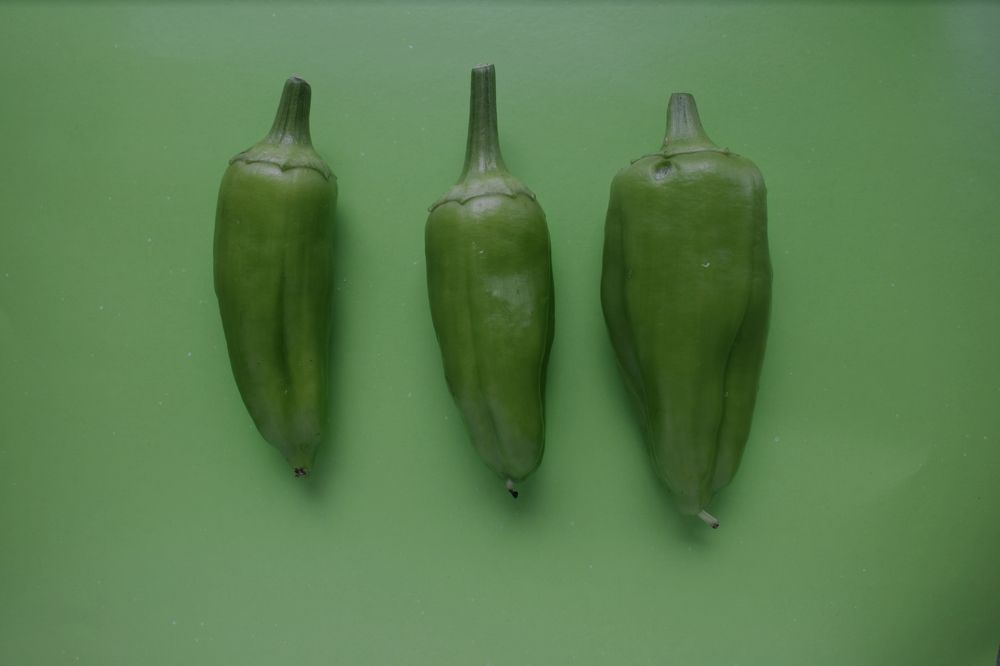 Photograph by Светлана Фокина