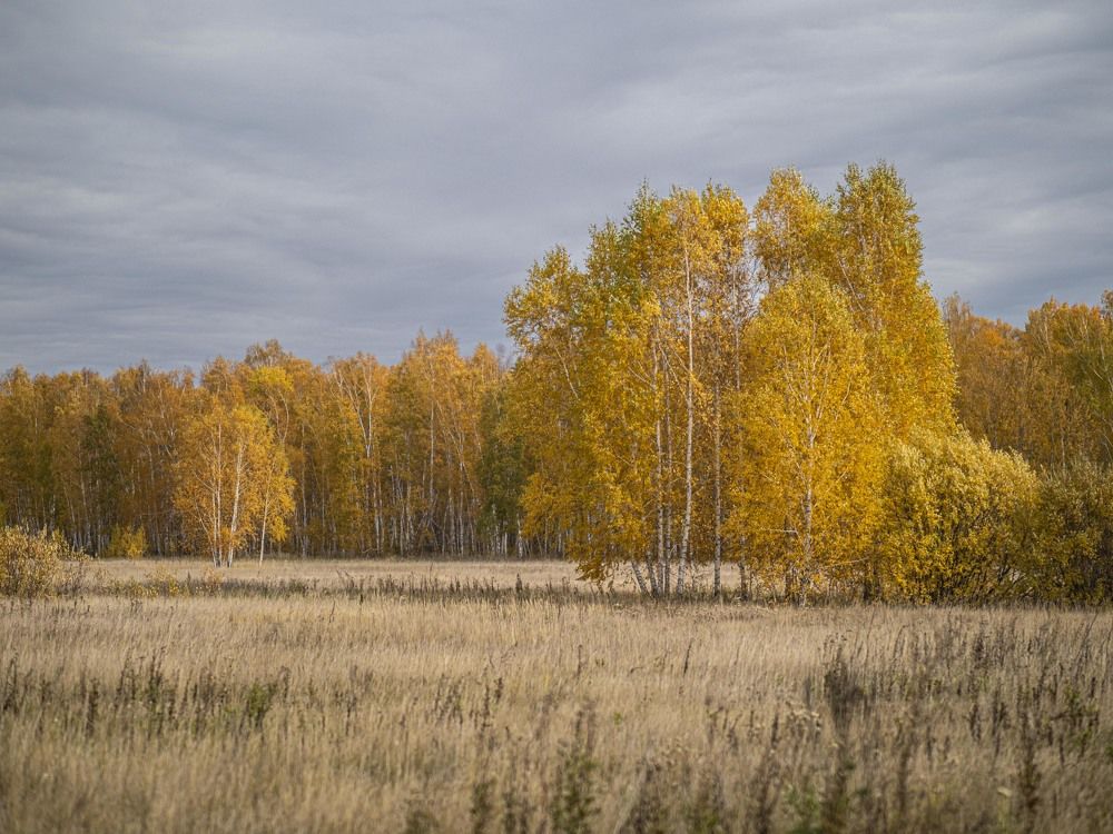 Photograph by Доляна Ашкова