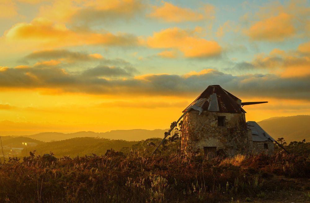 Photograph by Veaceslav Chisalita