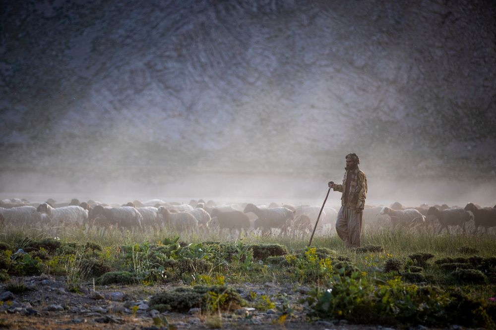 Photograph by Pourarab Mohammad Mahdi