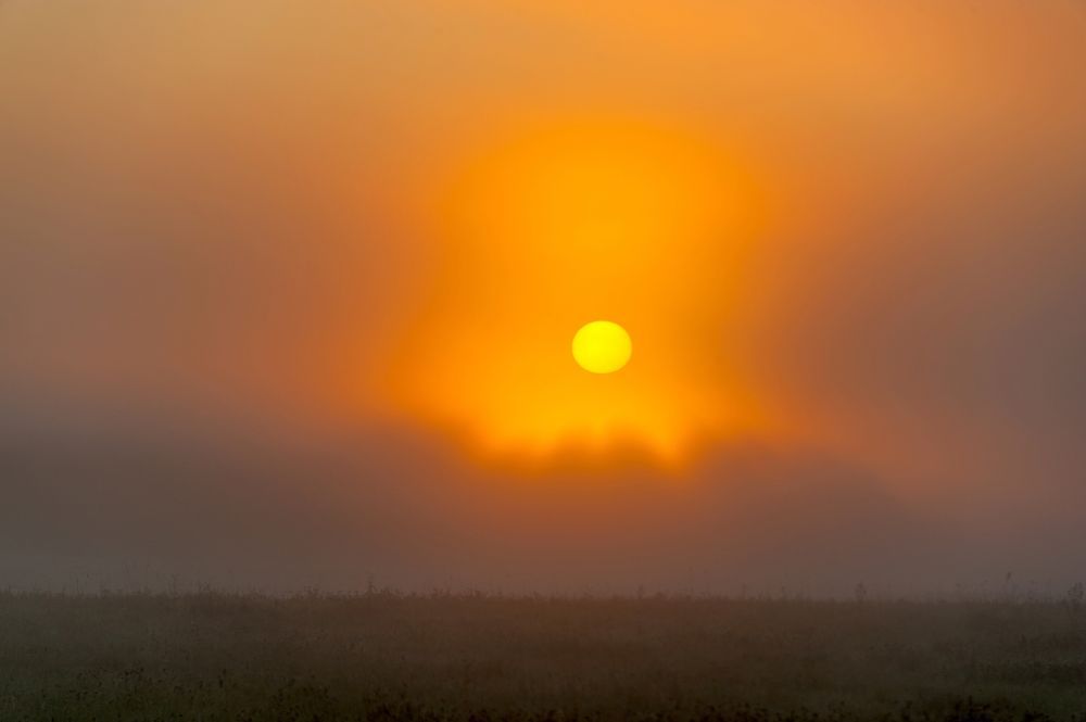 Photograph by Валерий Клейменов