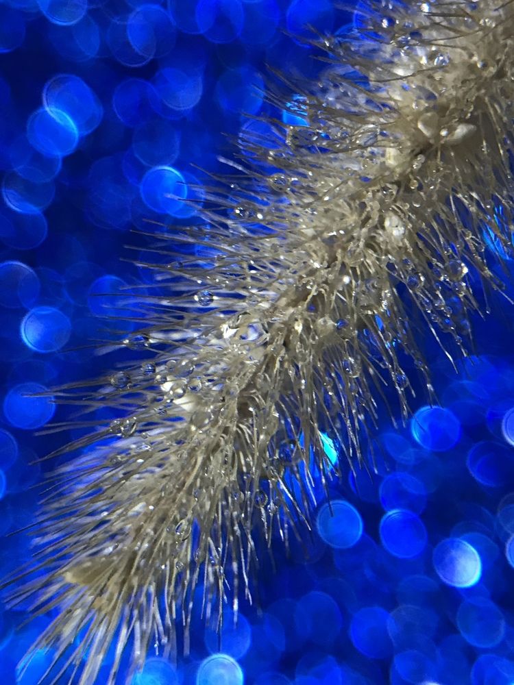 Photograph by Наталья Перерва