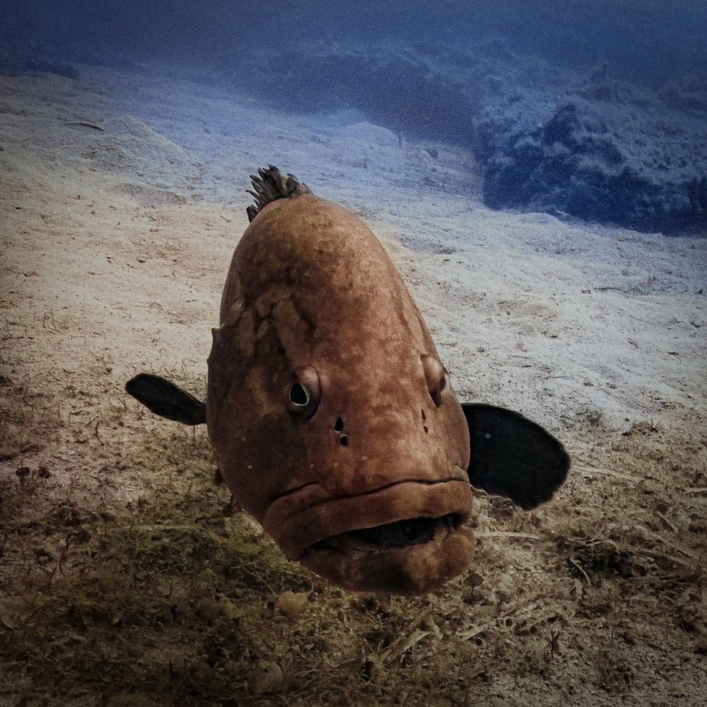 Photograph by Дмитрий Плотников