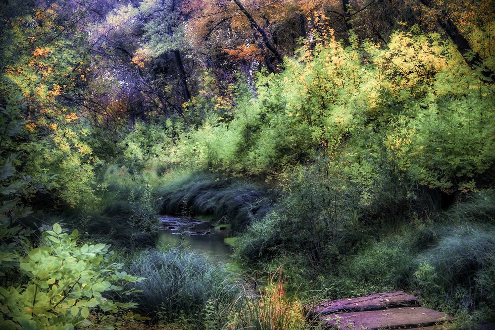 Photograph by Евгения Калугина