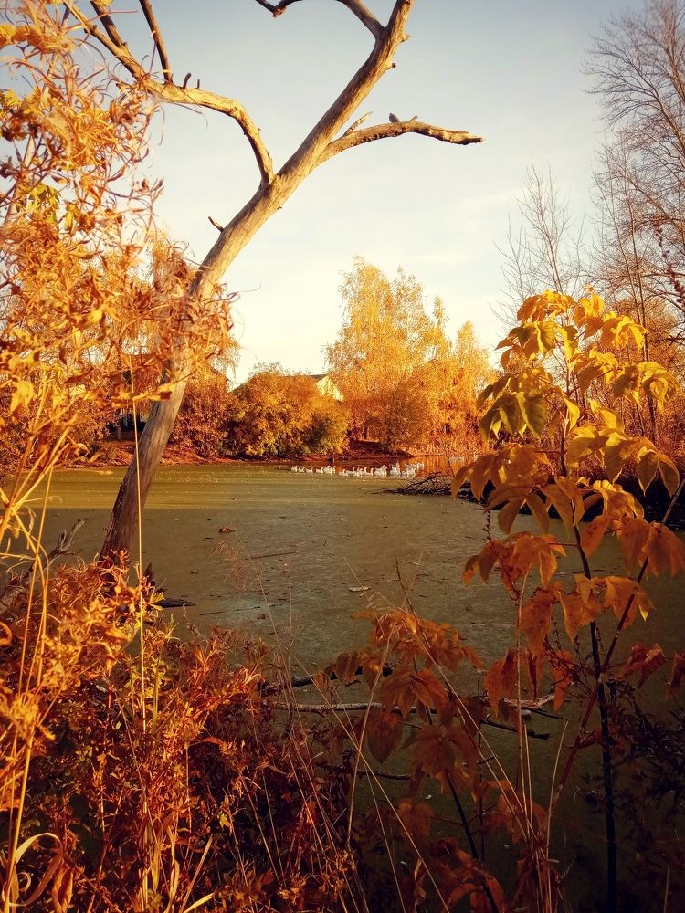 Photograph by Мария Опритова