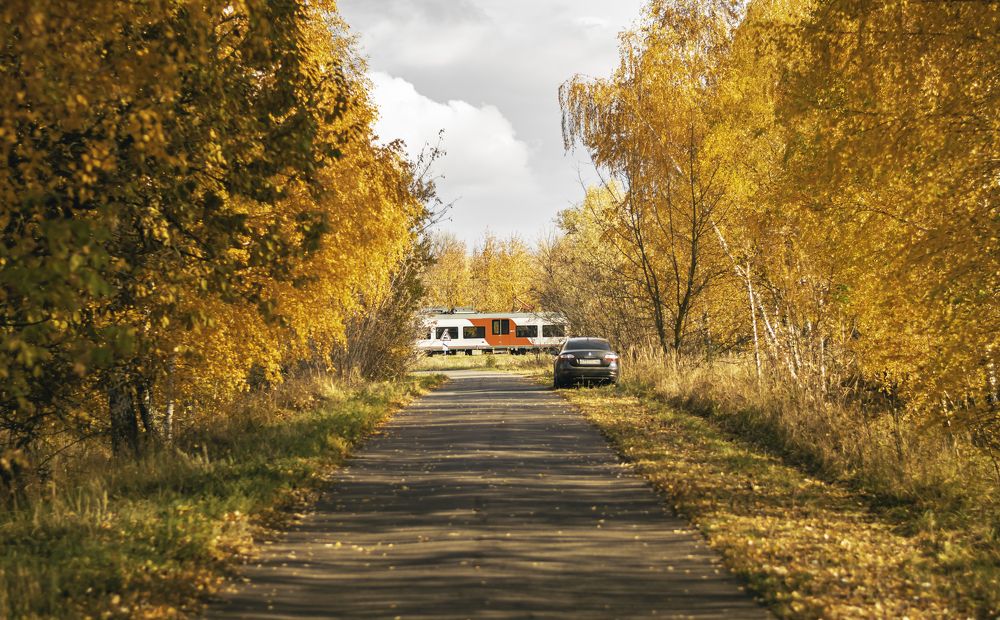 Photograph by Виталий Дрынов