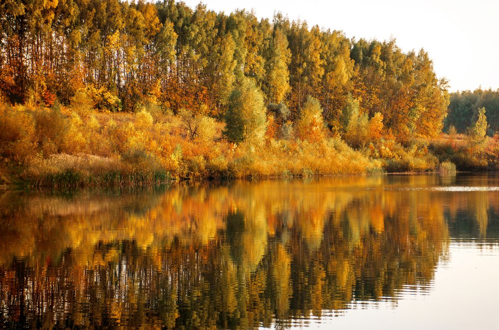 Photograph by Чурляев Максим