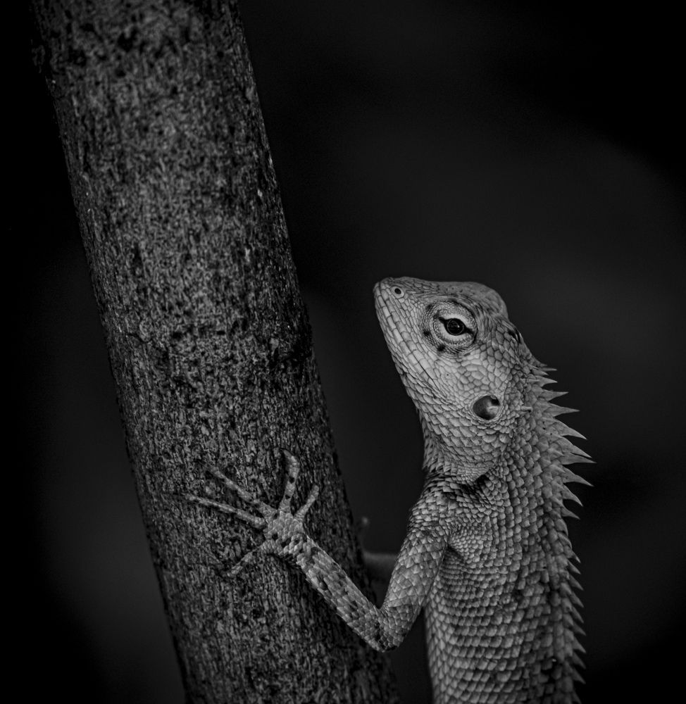 Photograph by Дмитрий Емельянов