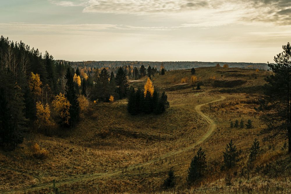 Свеча осени