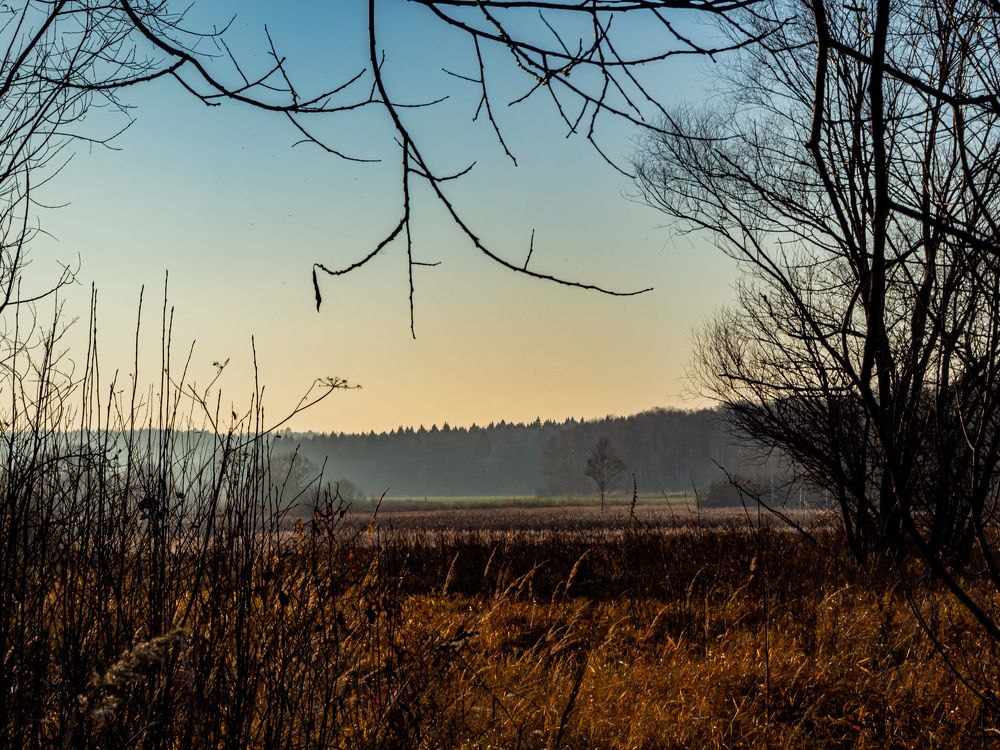 Осеннее поле