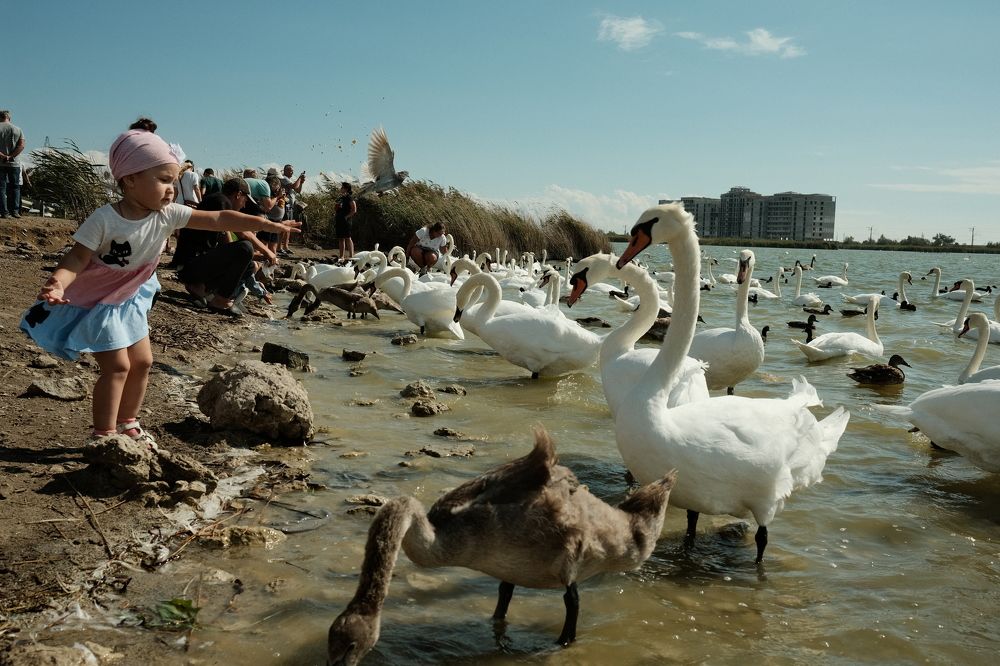 Photograph by Малкович Алексей