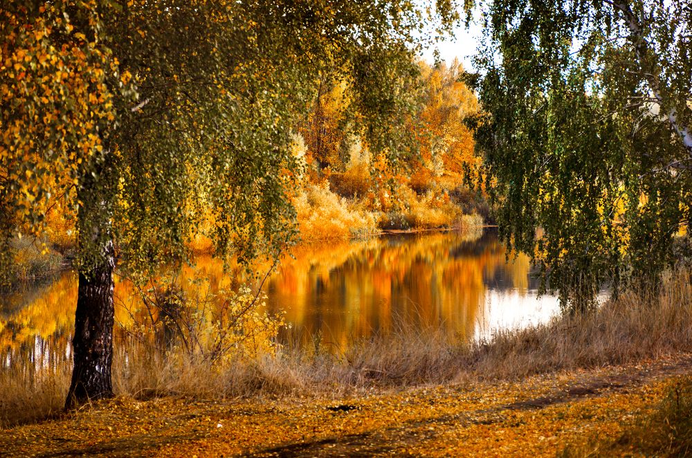 Photograph by Чурляев Максим