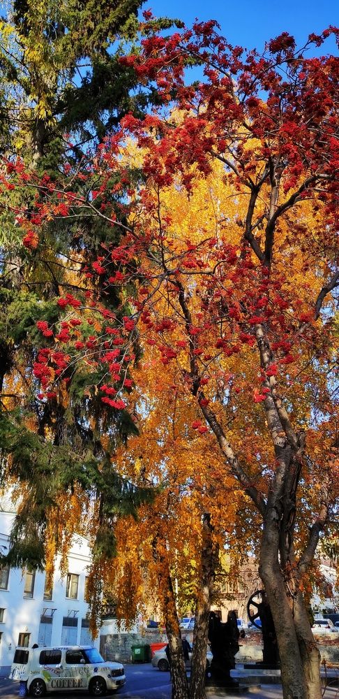 Photograph by Наталья Рау