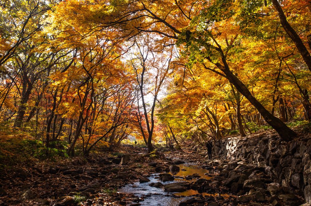 Photograph by Myunggyu Bae