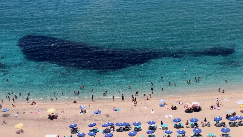 Photograph by Алексейчик Дмитрий