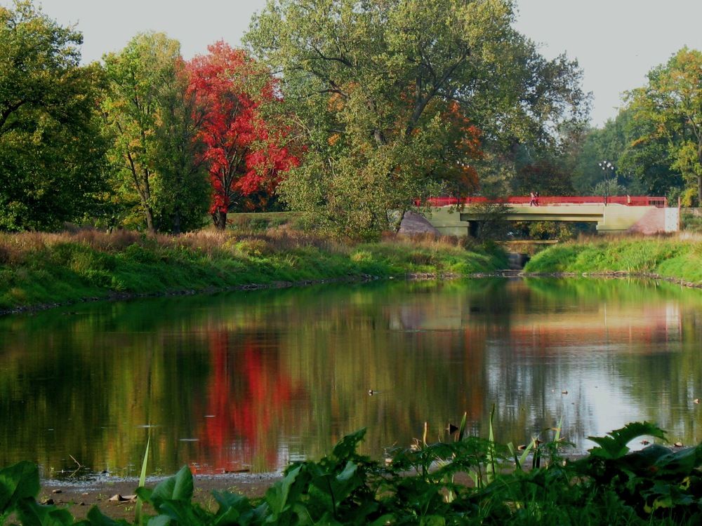 Фотография автора Нина Калинина