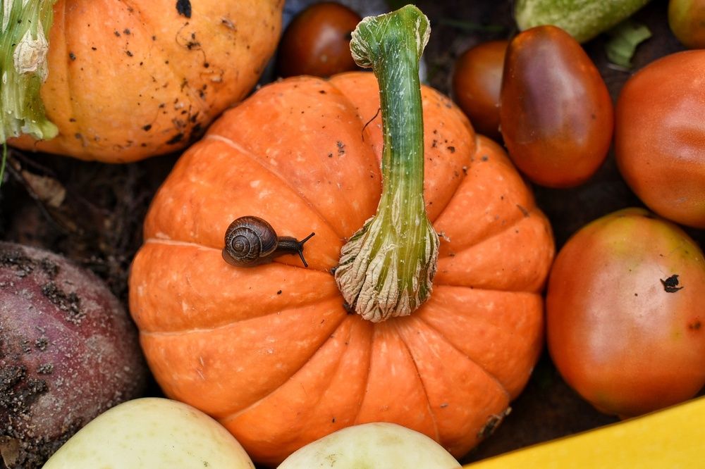 Photograph by Татьяна Абабкова