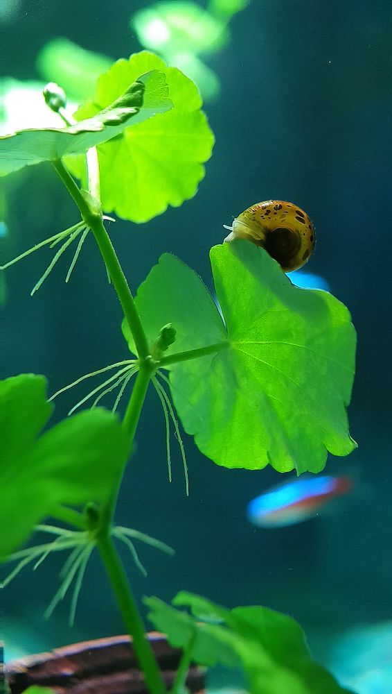 Фотография автора Александра Асаулко