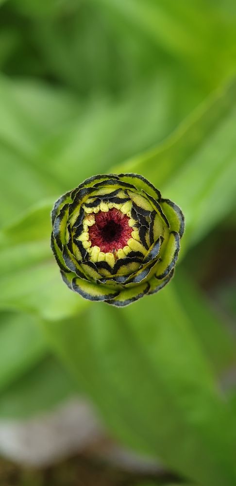 Фотография автора Александра Асаулко