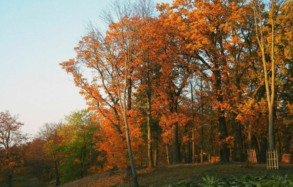 Photograph by Дарья Домбровская